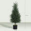 Faux Cypress Tree Plant in Cement Freestanding  Planter-798740873