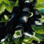 Tapisserie murale légumes aubergine-133633798