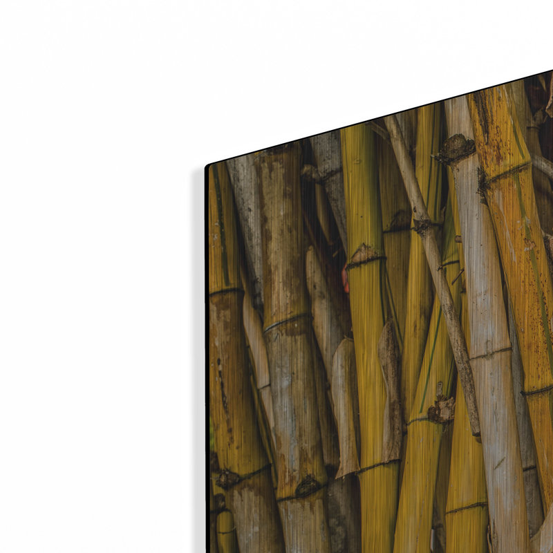 «Bamboo» par Mark A Paulda, H 24 po x l 36 po