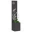 Planter Box-116918744-116918743
