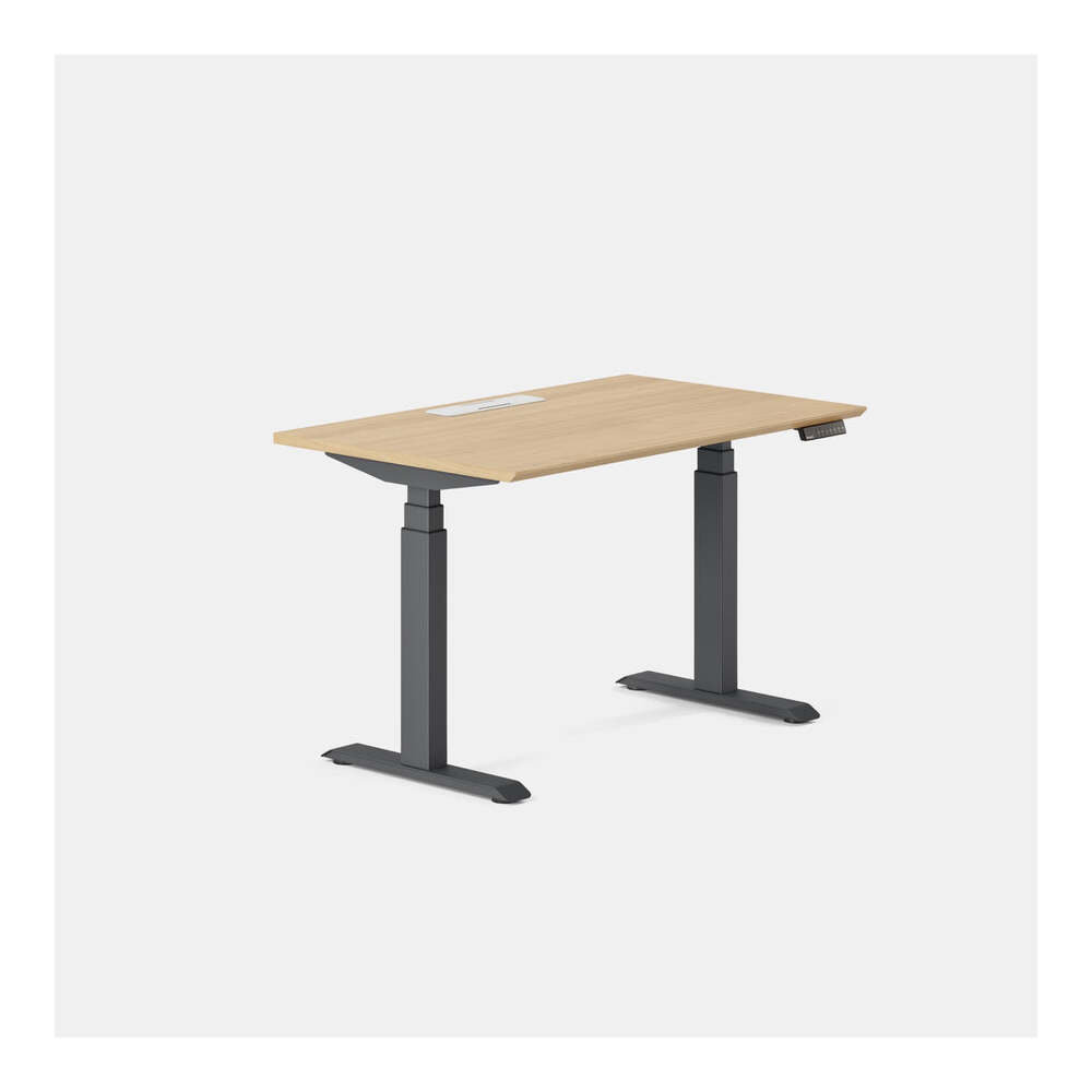 Standing Desk, Charcoal, Woodgrain, 52" H x 48" W x 30" D