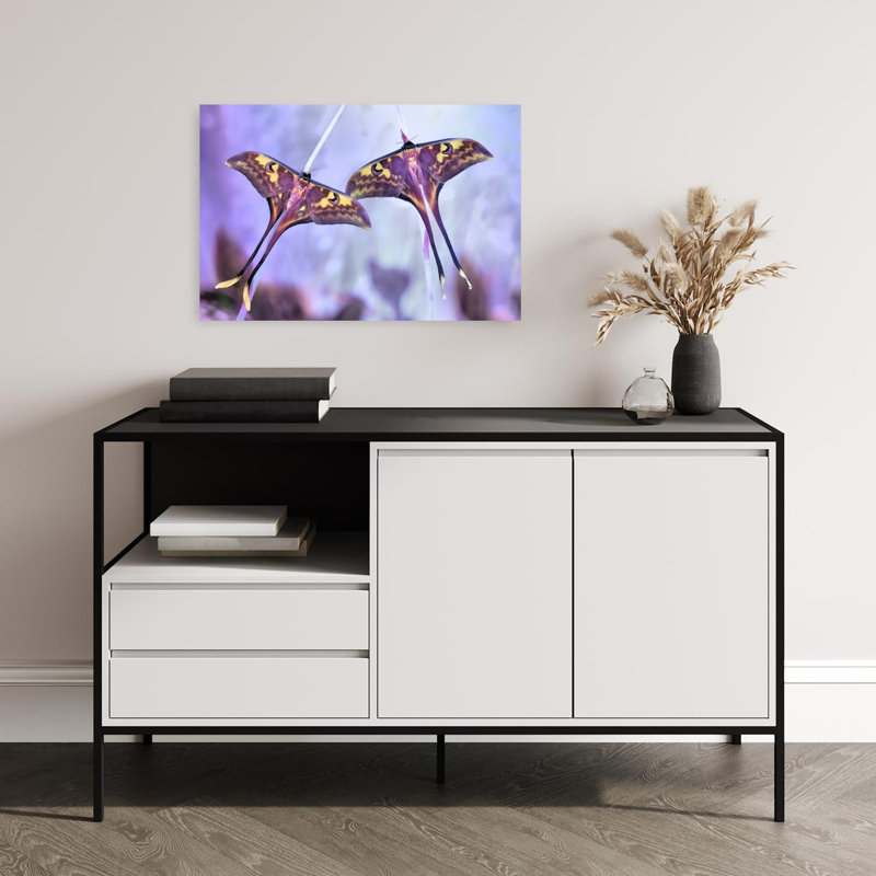 Elegant Luna Moths Delicate Elegant Ethereal Butterfly Moth Violet Nature Tropical Wall Art Print 1 Piece Wrapped Canvas Wall Art