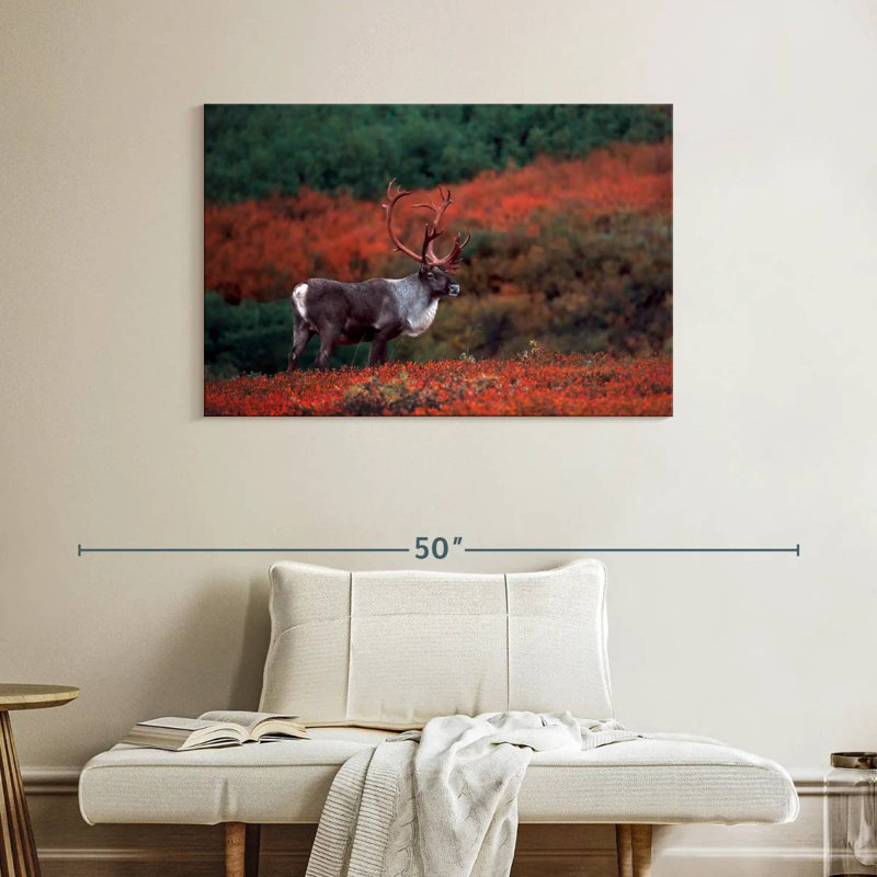 Caribou d'automne Brampt, H 26 po x l 39 po