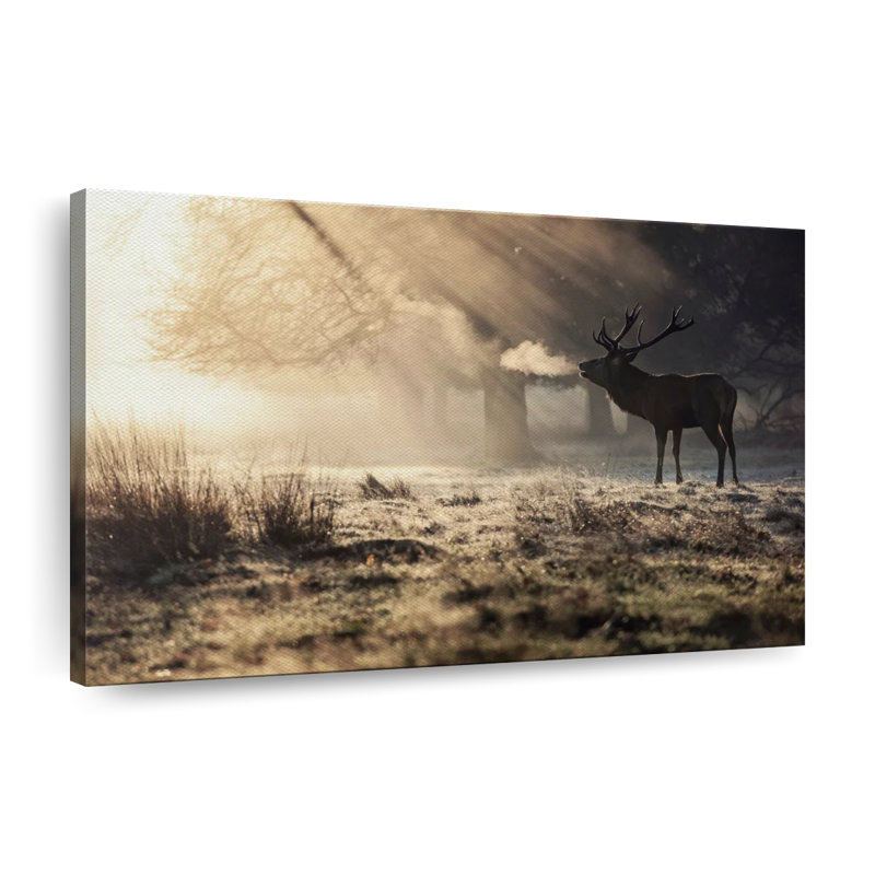 Cerf sauvage dans la neige sur toile, H 30 po x l 45 po x P 1,25 po