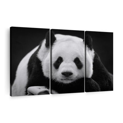 «Panda noir et blanc», 3 pièces sur toile