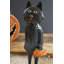 Chat d'Halloween debout debout en fer recyclé Kalalou