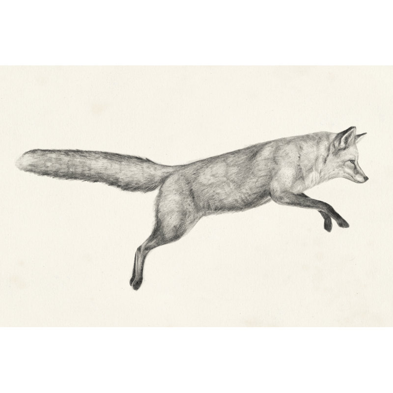 «Flying Fox I» par Victoria Borges - peinture sur toile tendue, H 24 po x l 36 po x P 1,25 po
