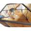 Flameheart 19 - Light Flush Mount