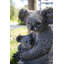 Mère et bébé koala