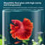 Grand aquarium en verre bleu 51,18 po avec cabinet de filtration inférieur-130019771
