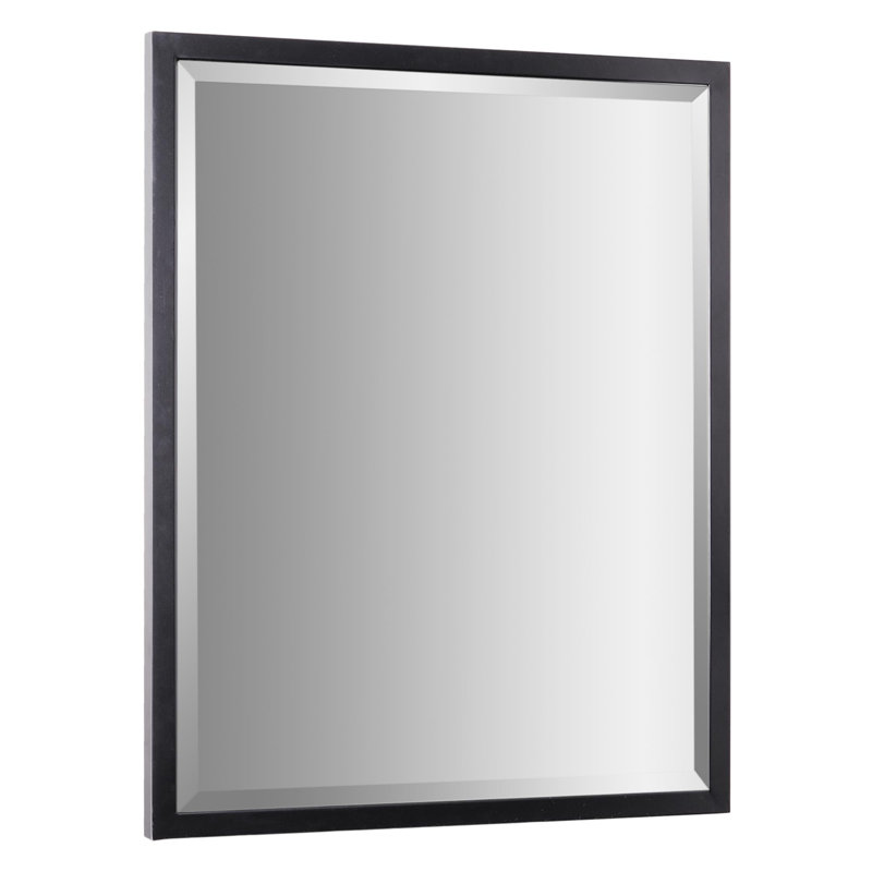 Miroir de salle de bain Wilguy, 24 po x 30 po, Noir