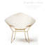 Chaise Barleria