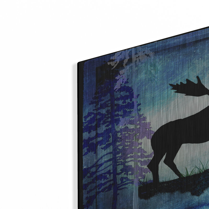 «Midnight Moose» par Lightbox Journal sur, H 16 po x l 24 po