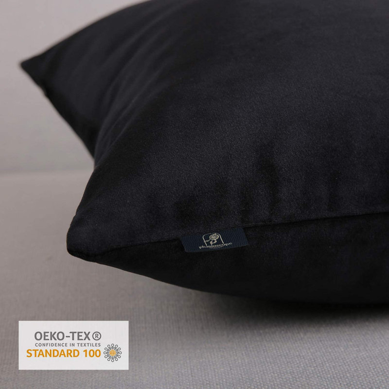 Velvet Decorative Throw Pillows, Solid Soft Decorative Cushion, Black, Polyester-SV, Square 18"