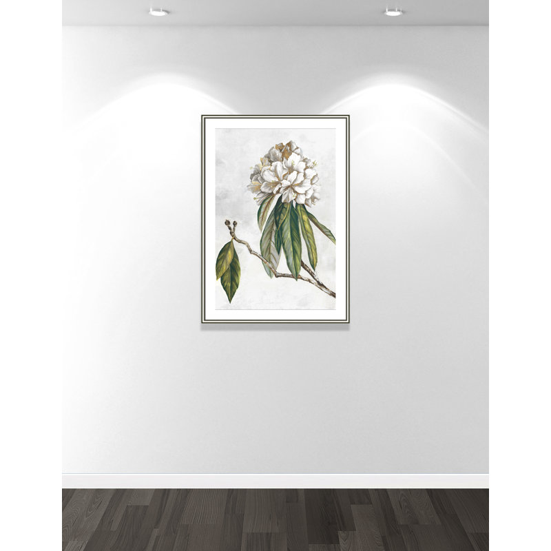 «Pearly Beauty II» par Eva Watts, L 30,75 po x H 42,75 po, Imprimé mat, Argent classique