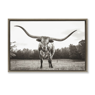  Longhorn Licking Lips Floater Canvas by Nathan Larson