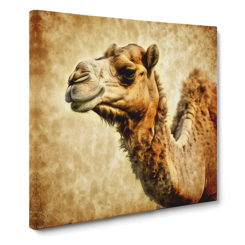 Camel Grunge Art - Wrapped Canvas, 50cm H x 50cm W x 3cm D