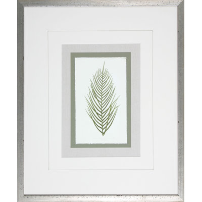 Fern3 Print