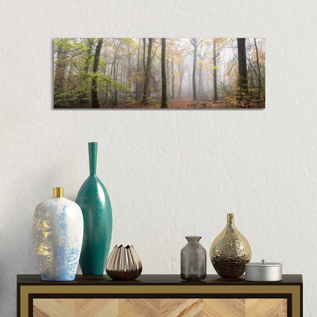 Panoramaspaziergang im Wald von Philippe Manguin - Galerie-verpackte Leinwand Giclée