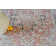 Antique Loom Rust/Black Polyester powerloom Area Rug