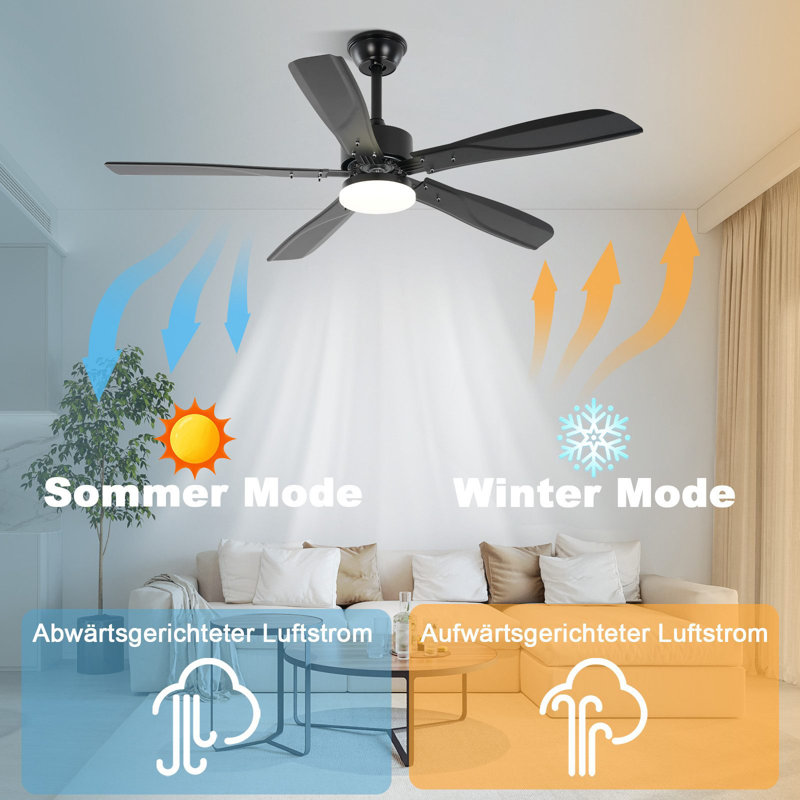 Ceiling Fan with LED Lights