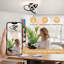 Aziria 3-Light LED Flush Mount Ceiling Light-216906422-216906423-203945661