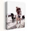 Islande, cheval, Rikka, art contemporain cheval