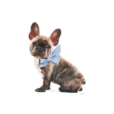 Frenchie VII by Amanda Greenwood - Wrapped Canvas Art Prints