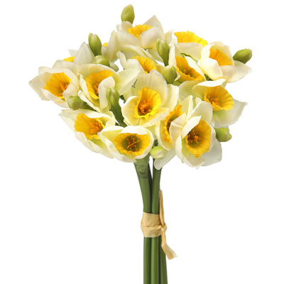 Narcissus Bundle X5 12"