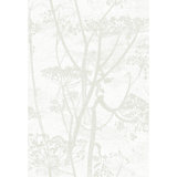 Cow Parsley Floral Wallpaper Roll