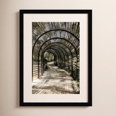Shadow Garden by Shot by Clint Wood Framed Wall Art Print