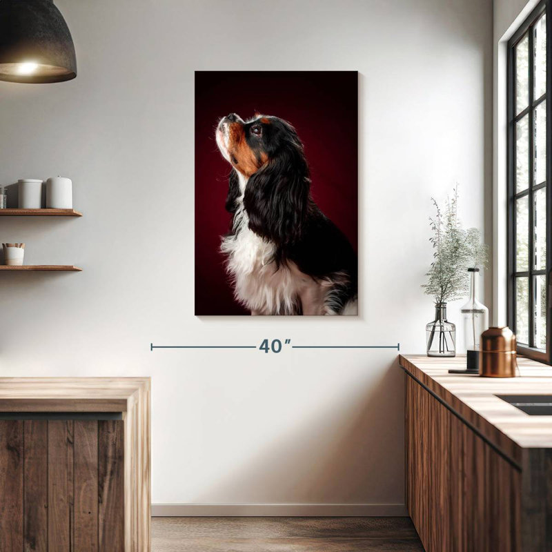 Brampt Begging Spaniel Puppy, 39" H x 26" W