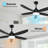 42" RGB Ceiling Fan With Led Light and Remote/App Control