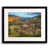 Black Framed Paper is unavailable