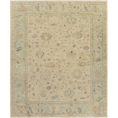 Daucourt Wool Oriental Area Rug