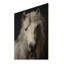 Cheval blanc aux tons sobres sur bois-433631525