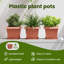 Planter-1849224899-1849224912-1849224915
