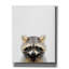 Epic Graffiti 'Raccoon' By Tai Prints, Canvas Wall " Raccoon " by Tai Prints-101632037