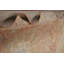 Tapis traditionnel 8 x 12