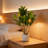 Small Realistic Lemon Tree for Countertop Use