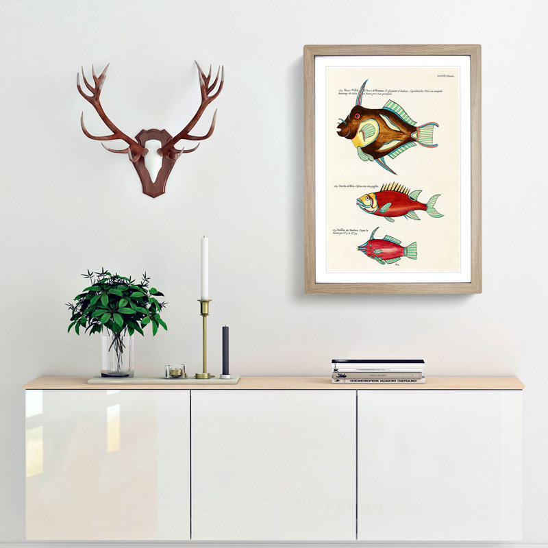 East Indies Fish Illustrations XXXVI by Louis Renard - Picture Frame Graphic Art Print, 36cm H x 27cm W x 2cm D, Oak Framed