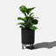 Jardinière Demi Series avec support-83889251-97745289-83889252