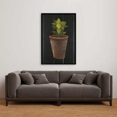 " Plant Of Bay Leaves "