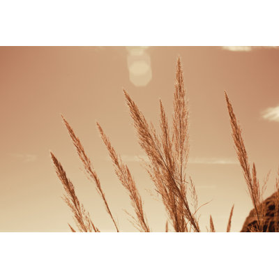 Lakeside Grasses VI by Nathan Larson - Wrapped Canvas Art Prints