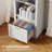 Arched Cabinet Bookcase