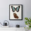 Papillons bleus antiques IV, toile encadrée de qualité supérieure - prête à être accrochée-1977291137-1977291140