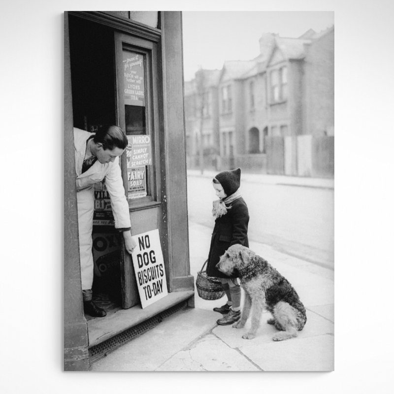 No Dog Biscuits - Wrapped Canvas Print, 41cm H x 31cm W x 4cm D