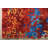 Ariahnna One-of-a-Kind 7'9" X 9'9" Wool Area Rug in