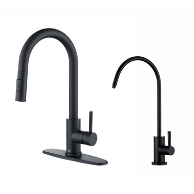 Tohlar Single Handle Stainless Steel Kitchen Faucet and  Lead-Free Drinking Water Filter Faucet