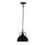 Lampe suspendue D10,4 x 11,4 po, métal